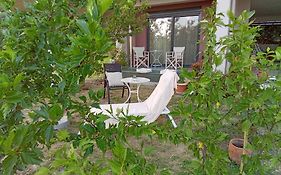 Alki's stories (Ιστορίες της Άλκης)